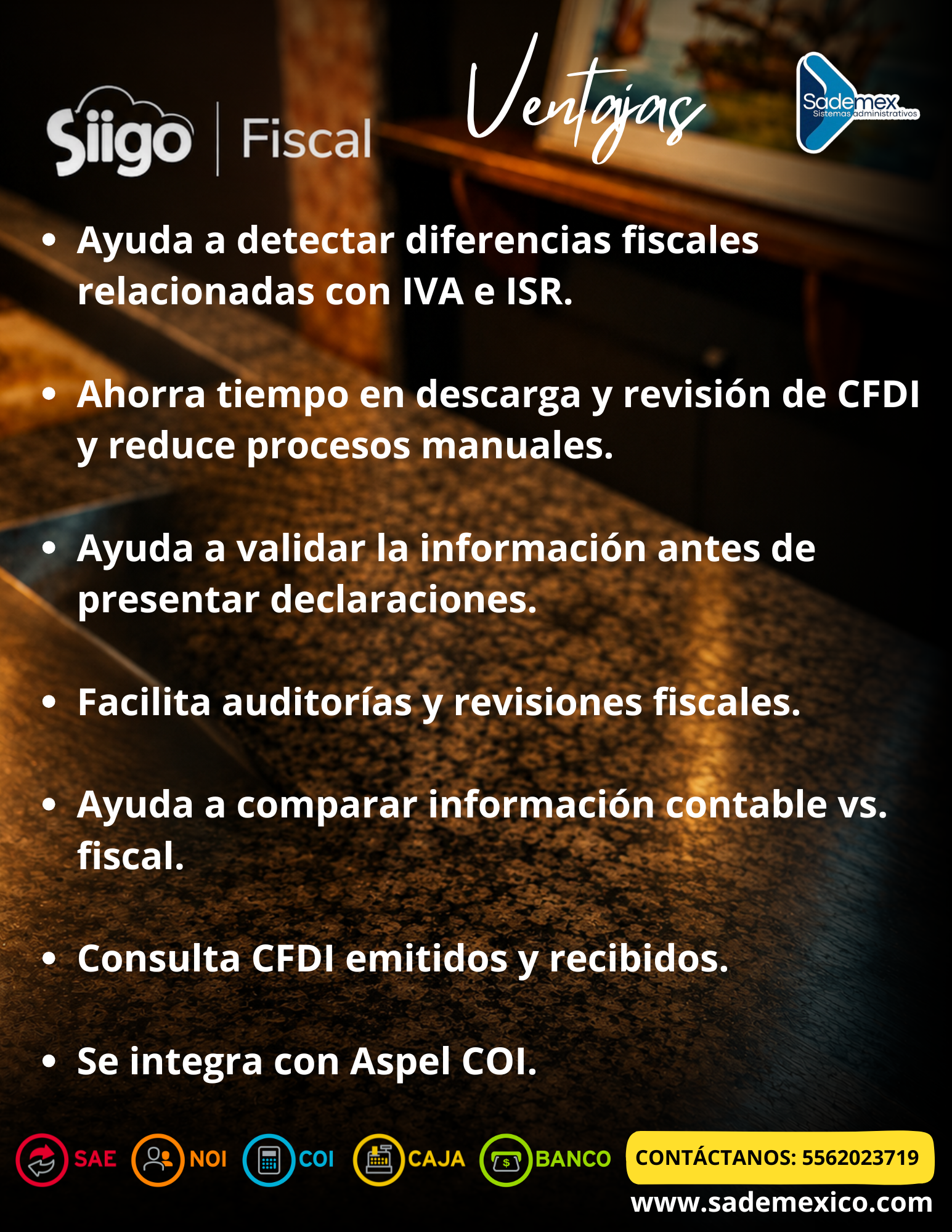 Sitios web profesionales desarrollados por SADEMEX para empresas